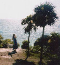 Dancing under palm trees in the Yucatan